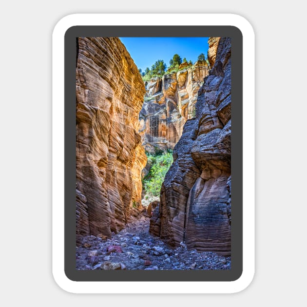 Lick Wash Trail Hike Sticker by Gestalt Imagery